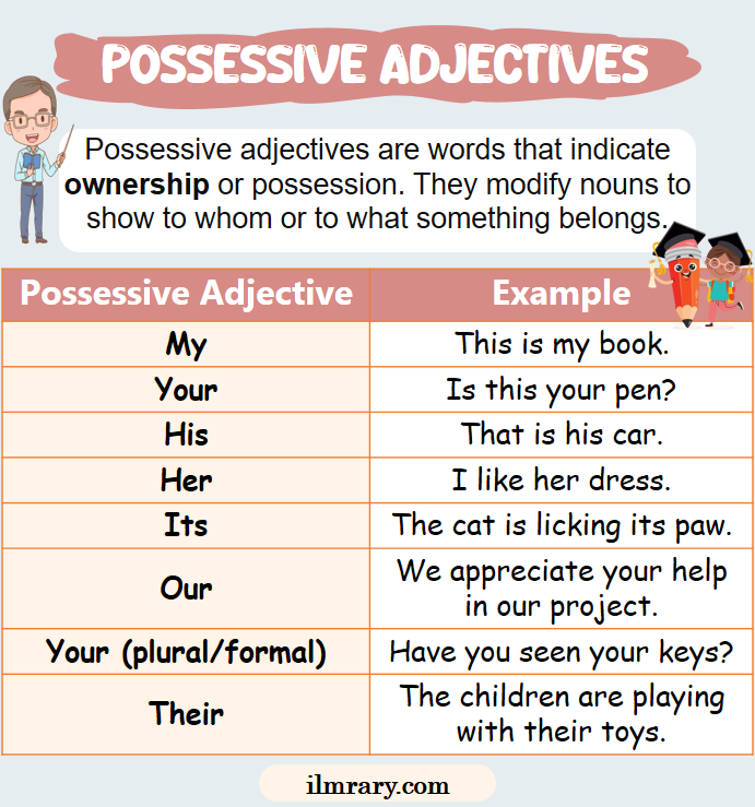 Possessive Adjectives with Examples In English