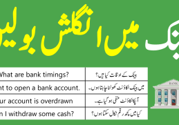 Daily Use English Conversation at the Bank in Urdu