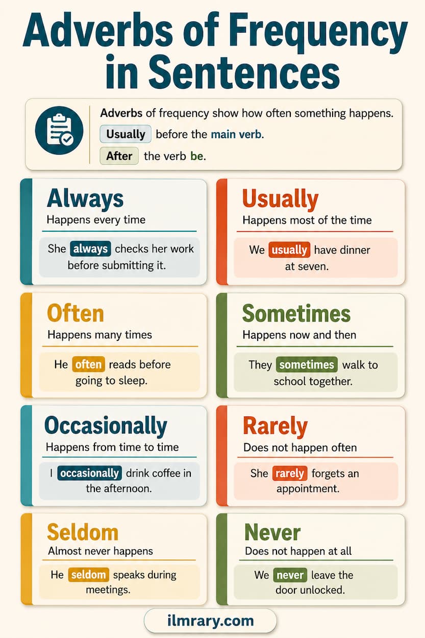 Adverbs of frequency in sentences — placement and examples with always, usually, often, sometimes, rarely, and never.