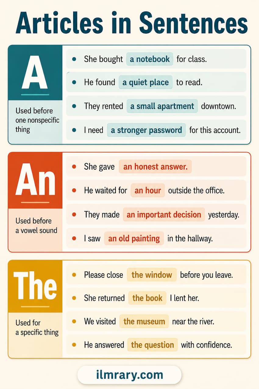 Articles in sentences — practice examples featuring a, an, and the for English learners.
