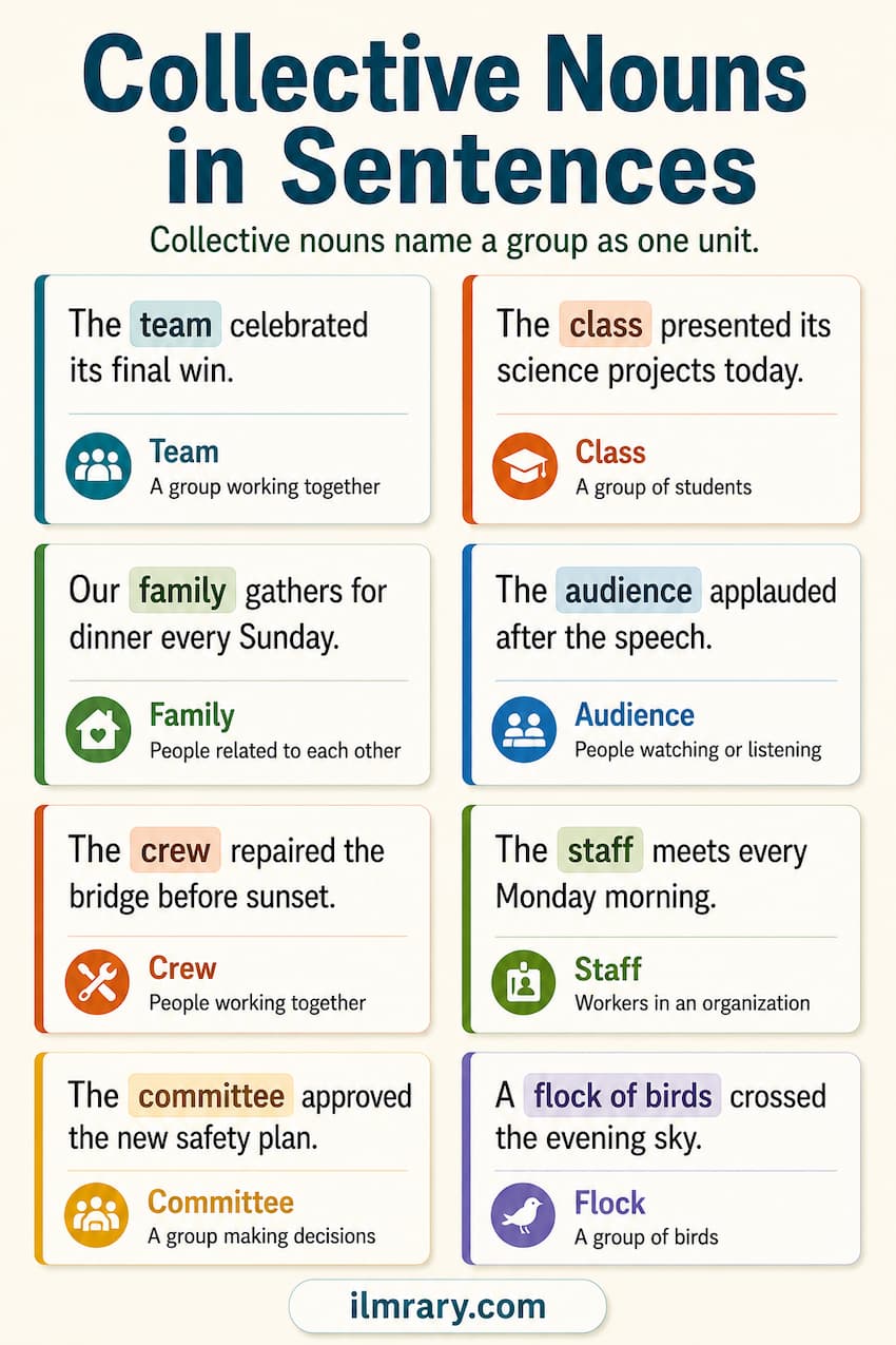 Collective nouns in sentences — examples using team, family, herd, flock, audience, and committee.